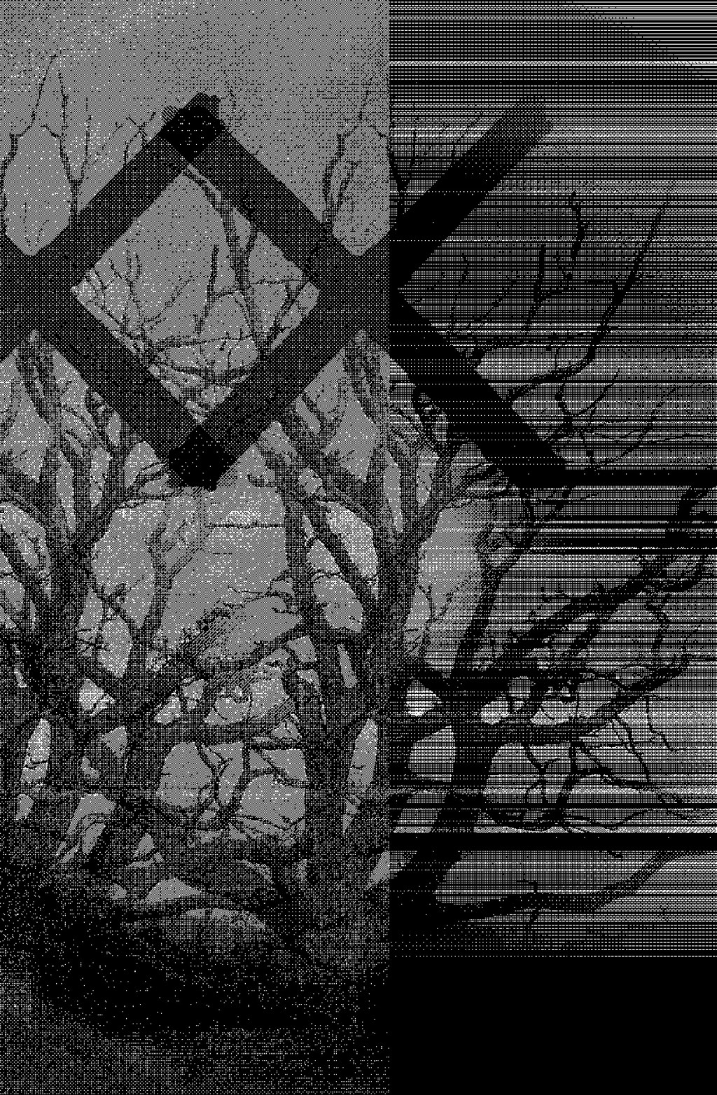 More Prints For End of Year&nbsp;Show